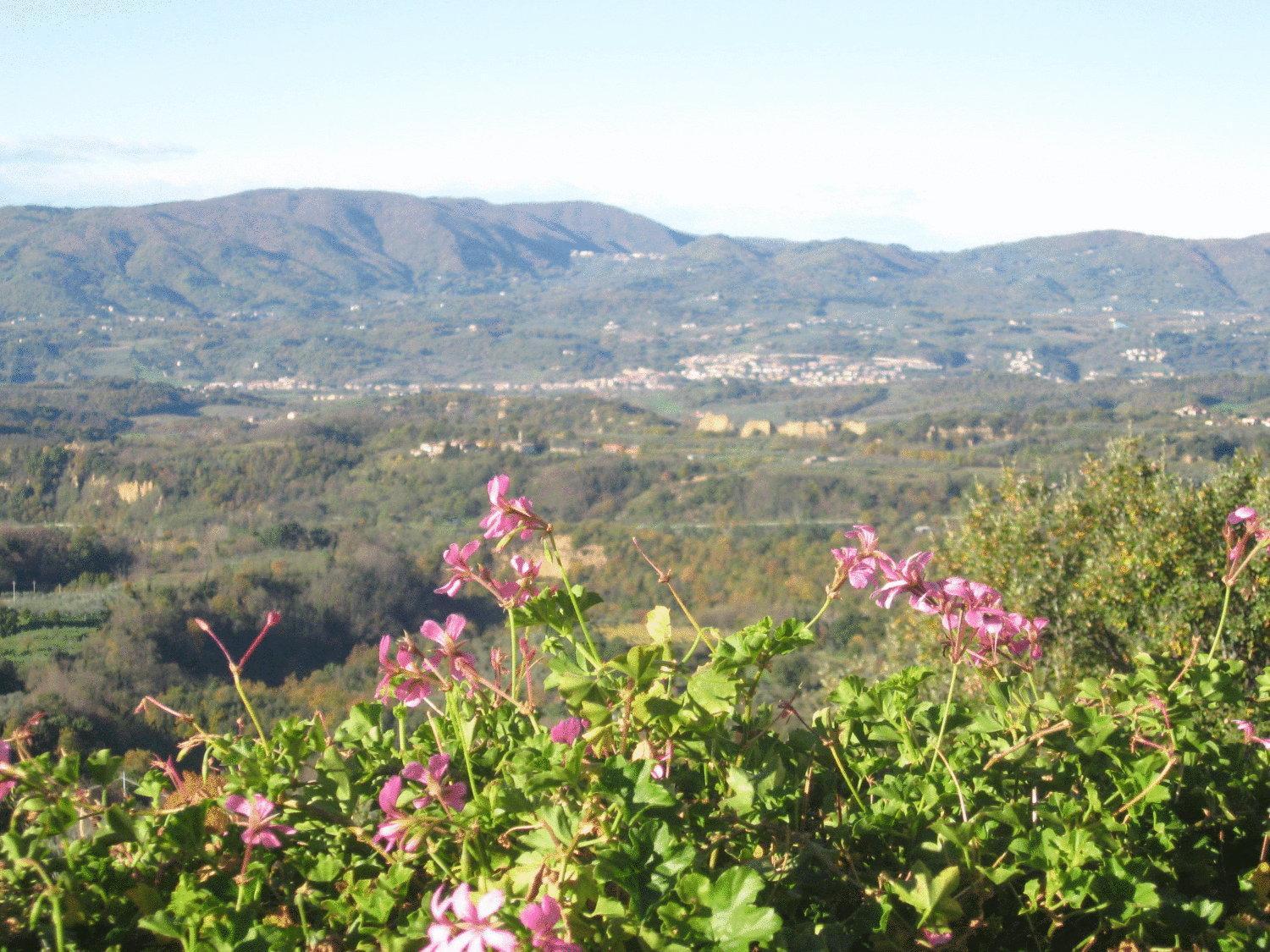 Agriturismo La Capitata Pian Di Sco Ngoại thất bức ảnh