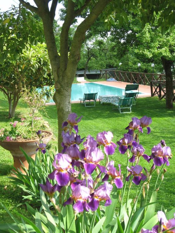 Agriturismo La Capitata Pian Di Sco Ngoại thất bức ảnh